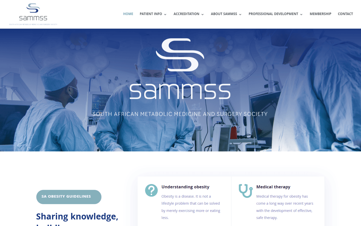 SAMMSS project preview
